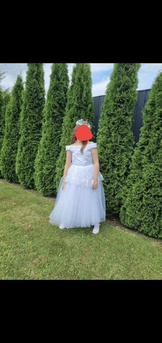 Holly communion occasion - holly, communion/occasion